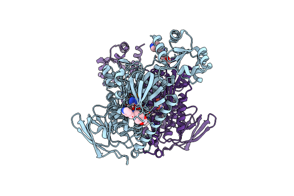 8PL4 image