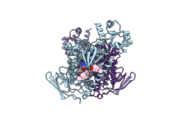 8PL5 image