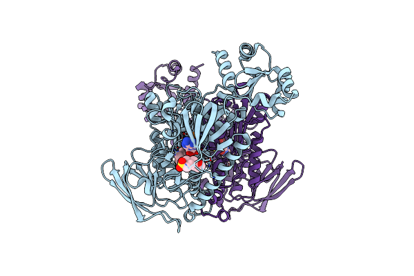 8PL9 image