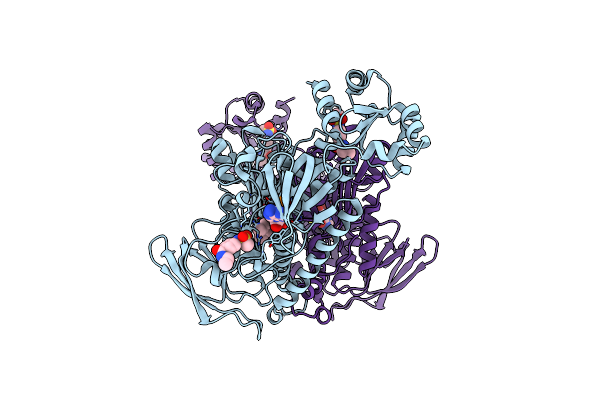 8PLB image