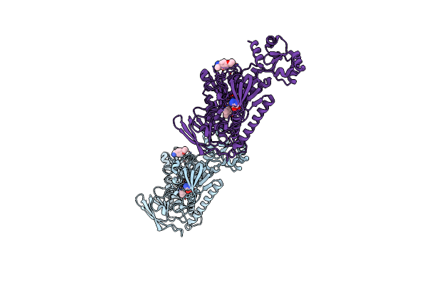 8PLC image