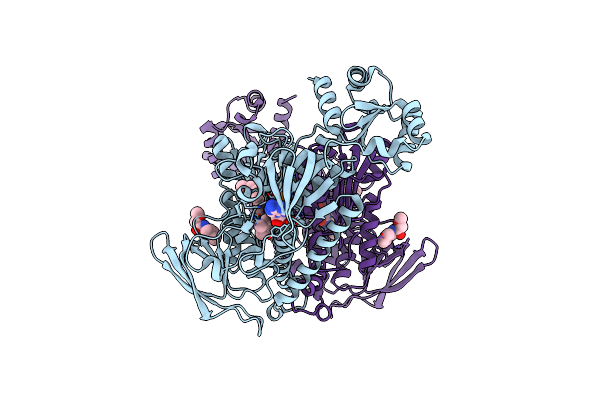 8PLD image
