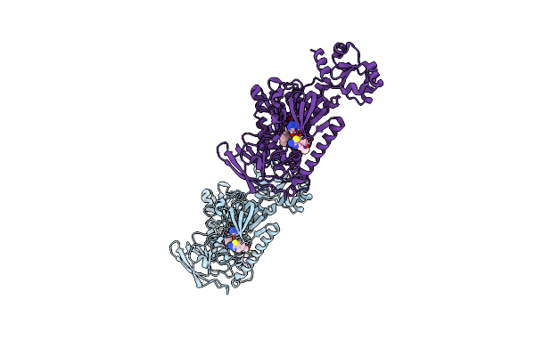 8PLF image
