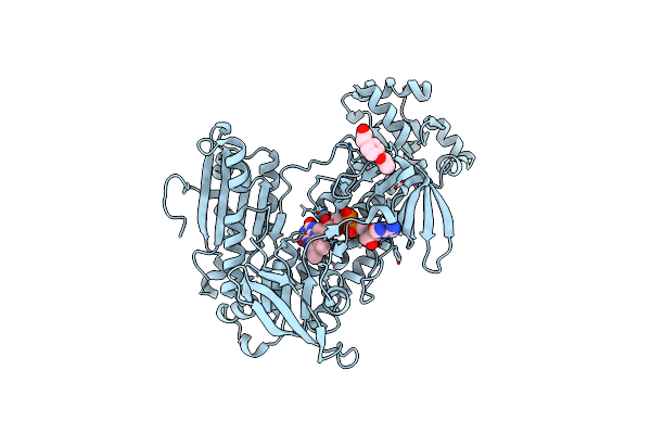 8PLG image