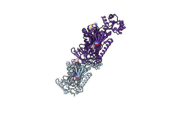 8PLK image