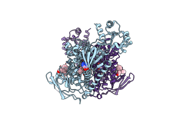 8PLV image