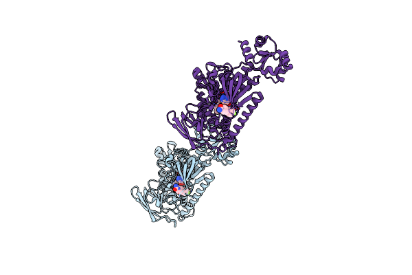 8PLX image