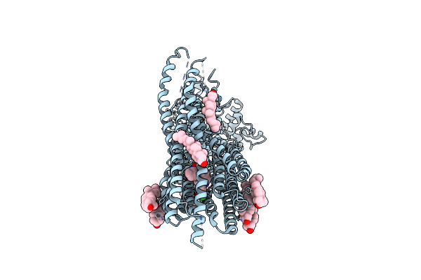 8PM6 image