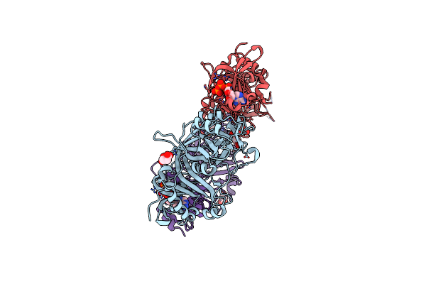 8PME image