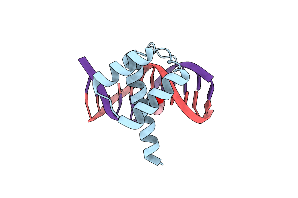 8PNA image