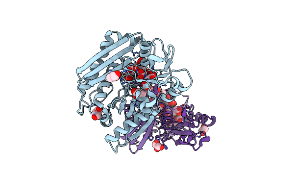 8PND image