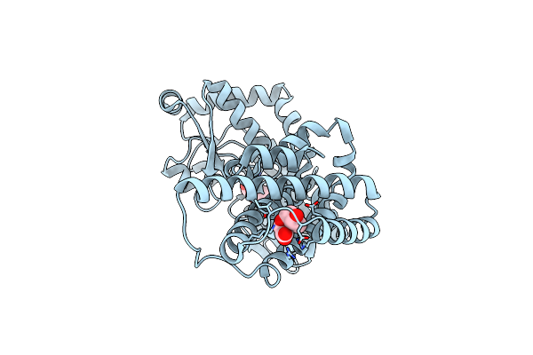 8PNH image