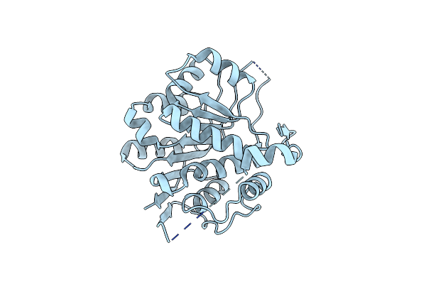 8PNK image
