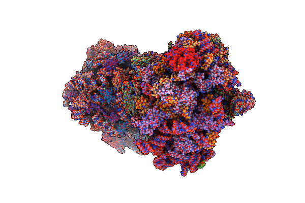 8PNN image