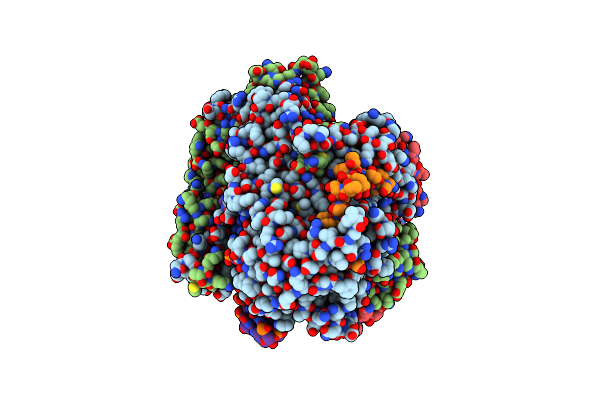 8PNP image