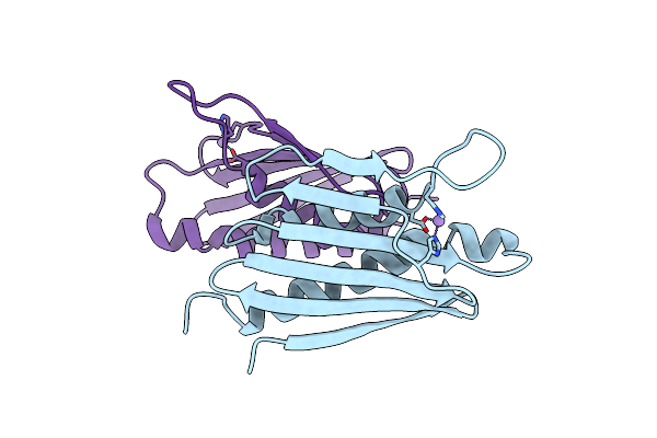 8PO5 image