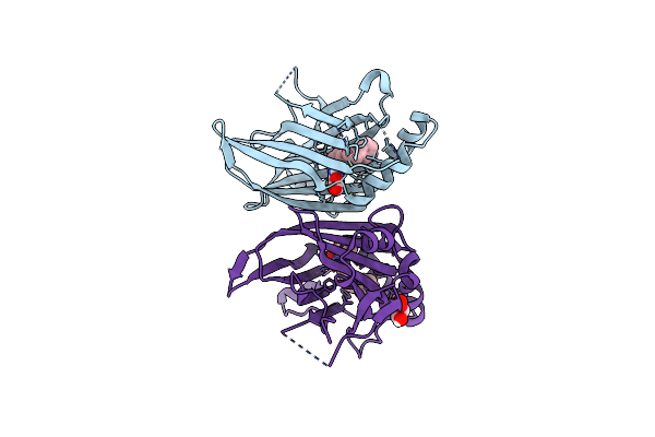 8POM image