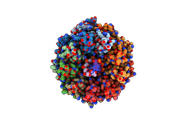 8POP image
