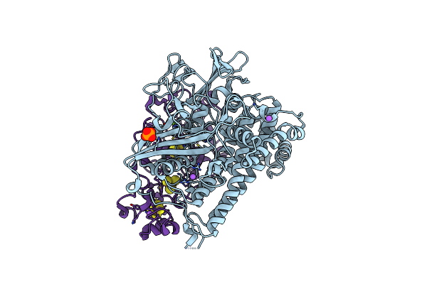 8POX image