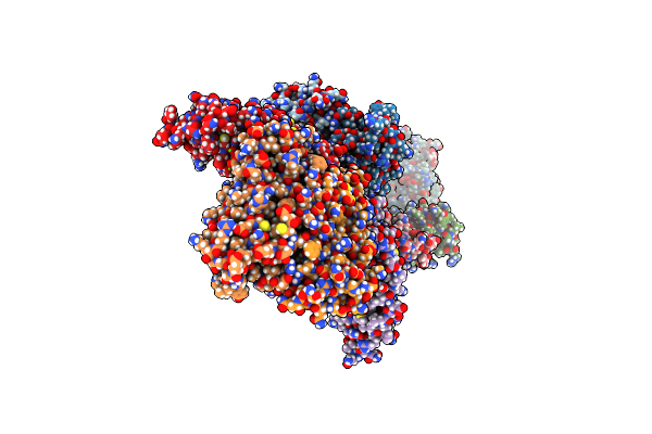 8PP2 image