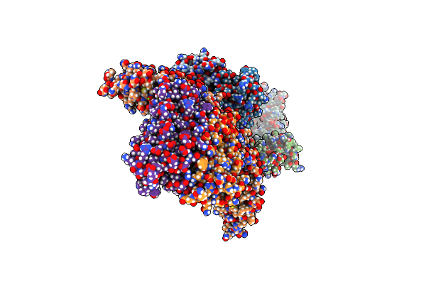 8PP3 image