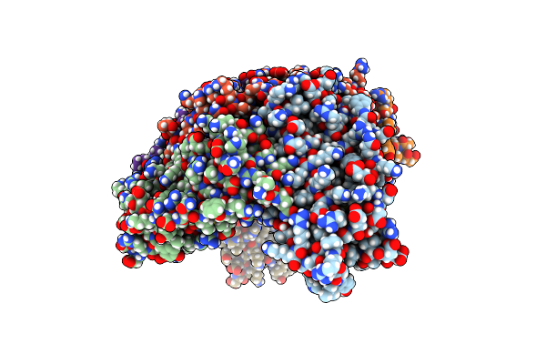 8PP5 image