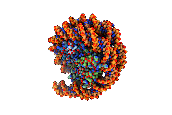 8PP6 image