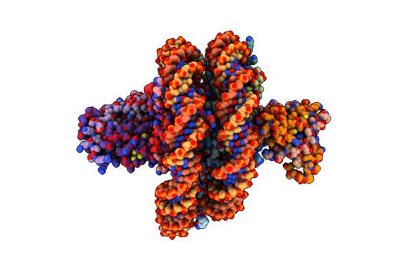 8PP7 image