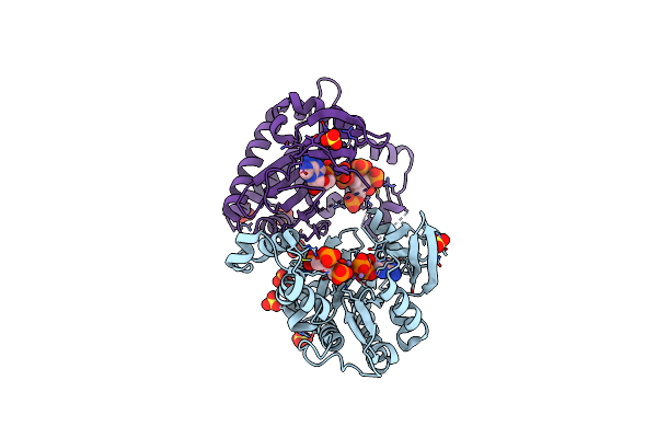 8PPJ image