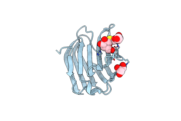 8PPN image
