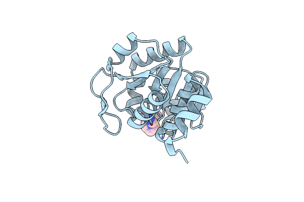 8PPW image