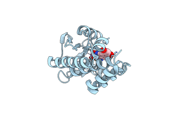 8PPX image
