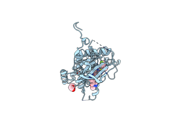 8PQI image
