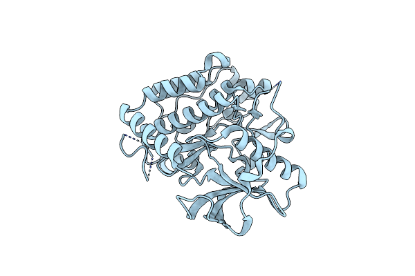8PQK image