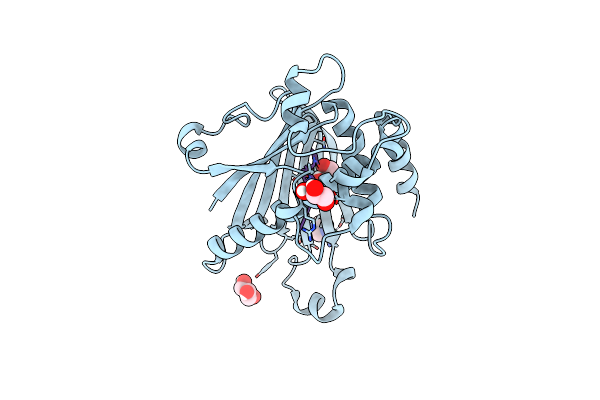8PQO image