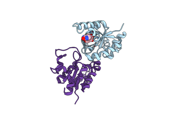8PQP image