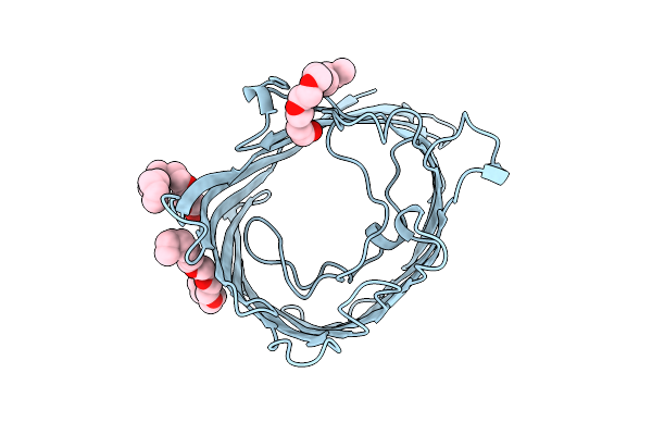 8PRN image
