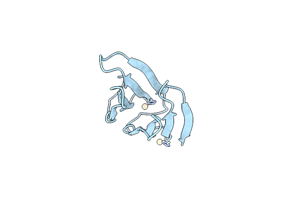 8PRP image
