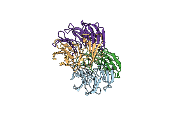 8PRS image