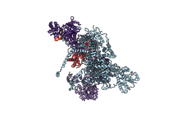 8PRV image