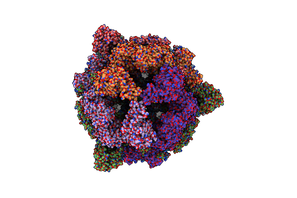 8PRW image