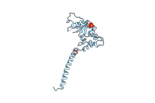 8PS6 image