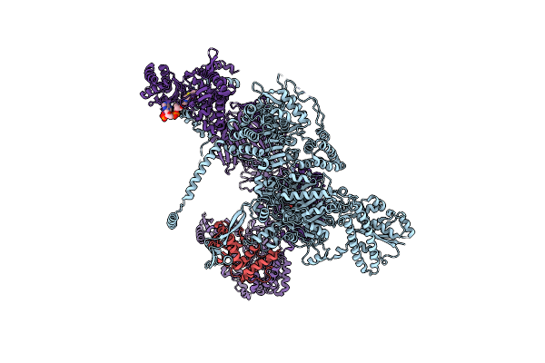 8PS9 image