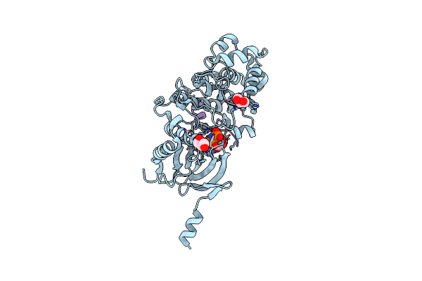 8PSR image