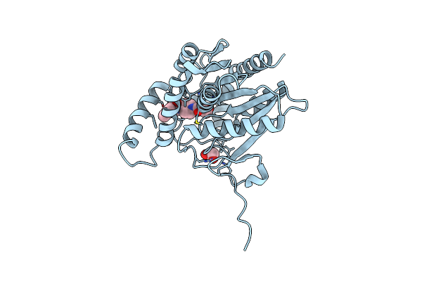 8PTC image