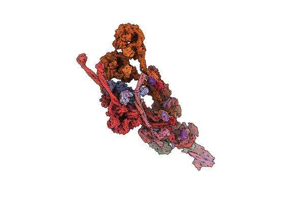 8PTK image