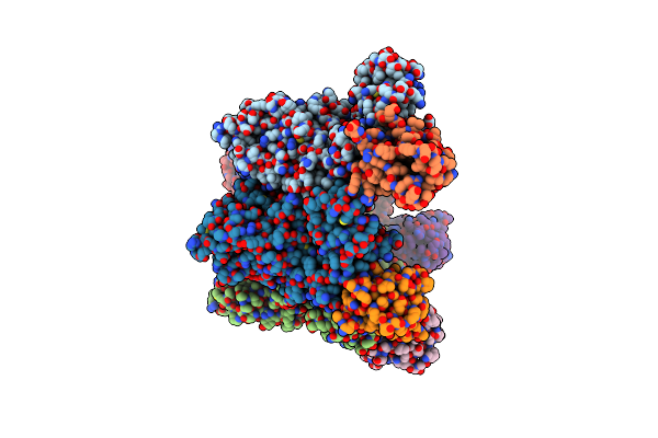 8PTP image