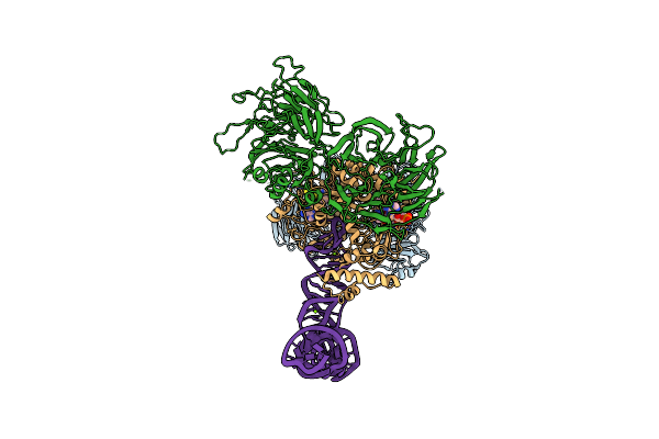 8PTZ image
