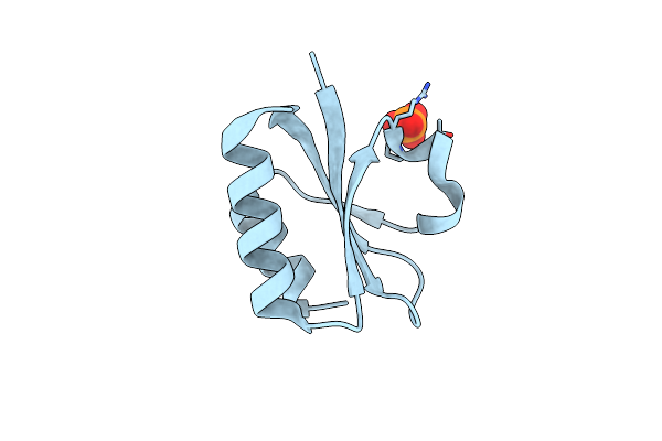8PU2 image