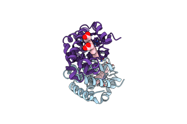 8PUR image